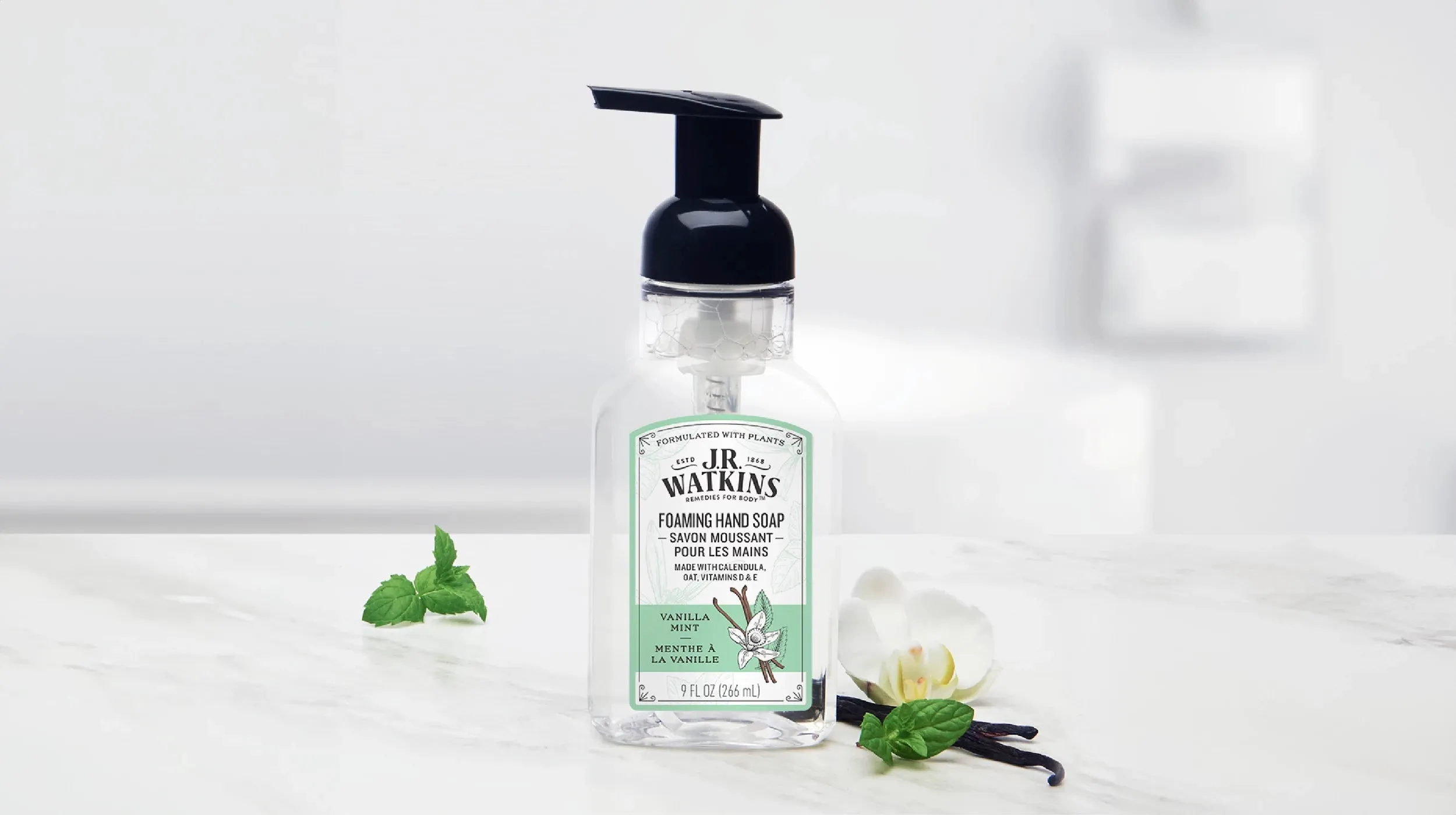 Hand Soap Foaming Vanilla Mint 9floz